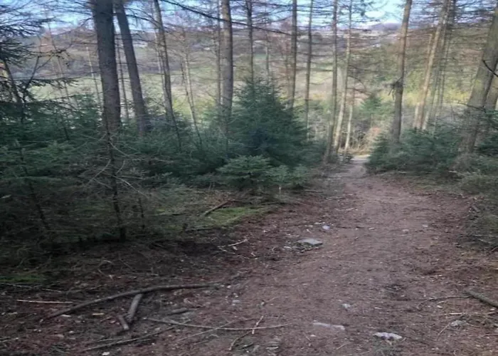 Дом отдыха Luxury With Sauna In Baugnez Malmedy