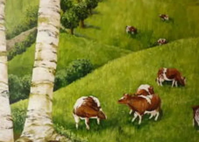 Luxury With Sauna In Baugnez Malmedy * Arimont